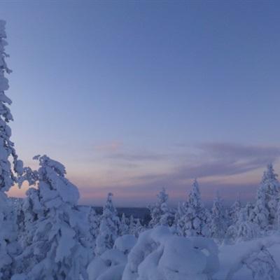 雪鹰领主传奇手游公益服下载